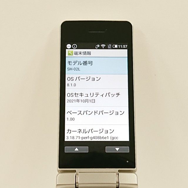 AQUOS �������� SH-02L �ɥ��� ������� c21523