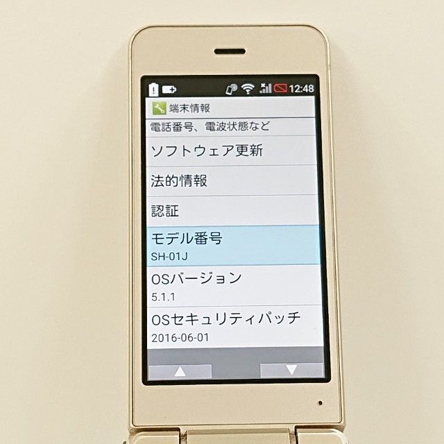 �ڥ�����ʡ�AQUOS �������� SH-01J �ɥ��� ������� c23137