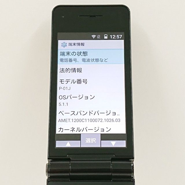 P-smart �������� P-01J �ɥ��� �֥�å� c20246
