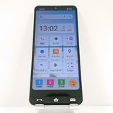 BASIO active SHG09 au С c15706