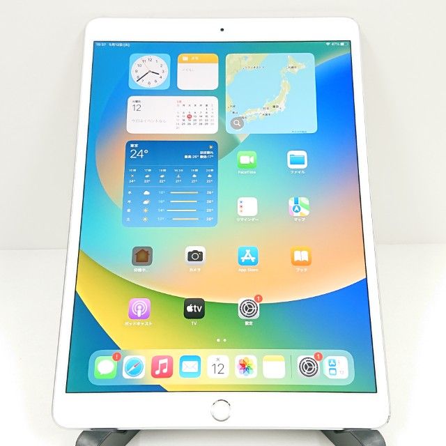 iPad Air 3 Wi-Fi+Cellular 256GB SIM�ե꡼ ����С� c19679