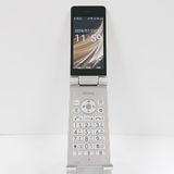 AQUOS �������� SH-02L �ɥ��� ������� c21451