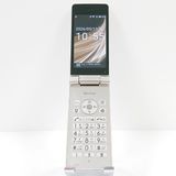 �ڥ�����ʡ�AQUOS �������� SH-02L �ɥ��� ������� c19527