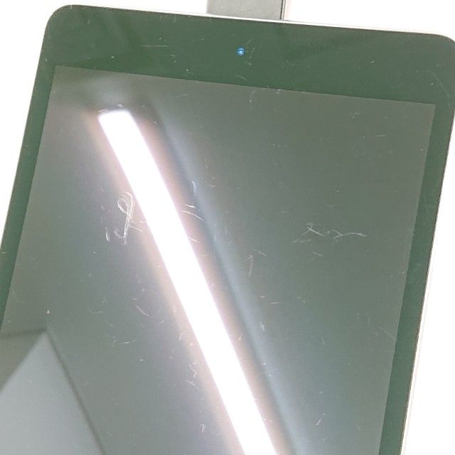 iPad mini 5 Wi-Fi��ǥ� 256GB Wi-Fi��ǥ� ���ڡ������쥤 c15866