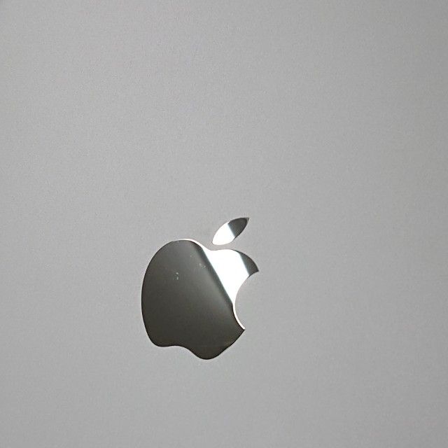 iPad Air 2 Wi-Fi + Cellular 16GB �ɥ��� ����С�   c19434