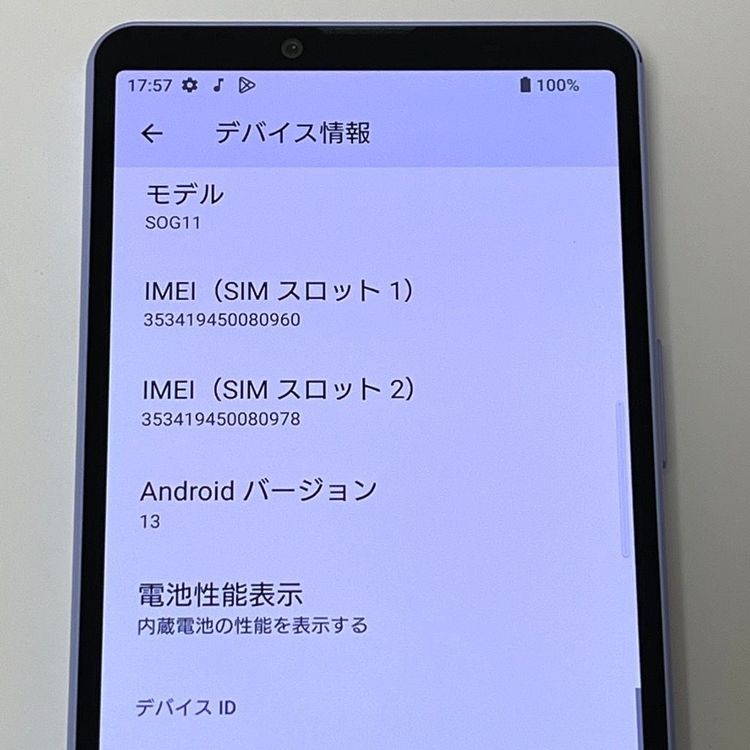 ʡXperia 10 V SOG11 [٥] auSIMե꡼ [H513]