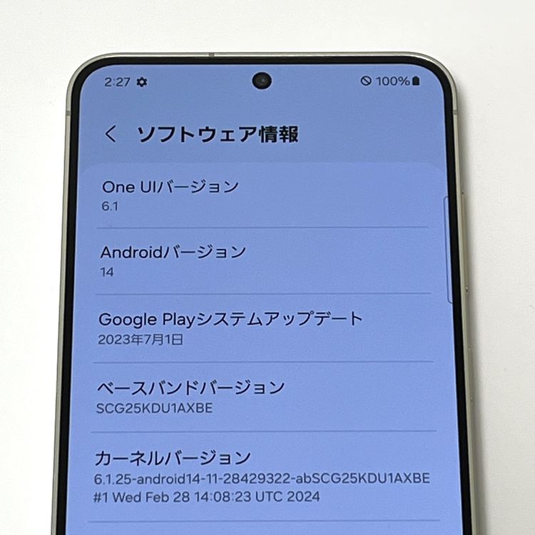 ڿƱ͡Galaxy S24 SCG25 au SIMե꡼ С