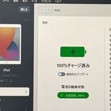 ʡiPad(8) au SIMե꡼ Wi-Fi + Cellular [B82MSR]