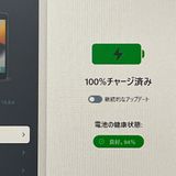 ڶʡiPad mini4 Wi-Fiǥ 64GB ڡ쥤 [MSBR1]