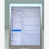 ʡiPad Pro 12.92Wi-Fiǥ 256GB