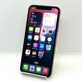 �Хåƥ꡼99��ڶ����ʡ�iPhone XS 256GB ���եȥХ� SIM�ե꡼