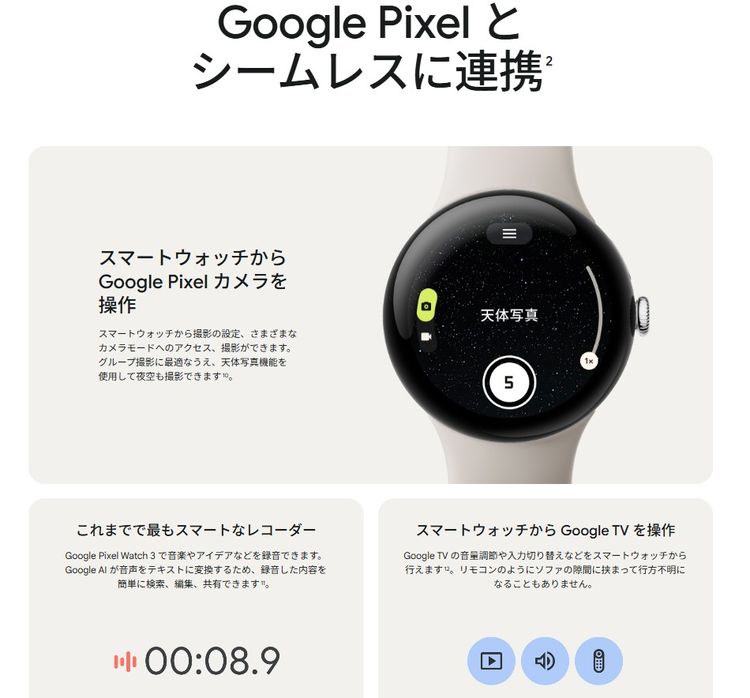 ڿʡ̤ѡGoogle Pixel Watch3 LTE 41mm au °ʴ