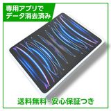 ڥХåƥ꡼89%iPadPro12.96塡WiFi256GBС