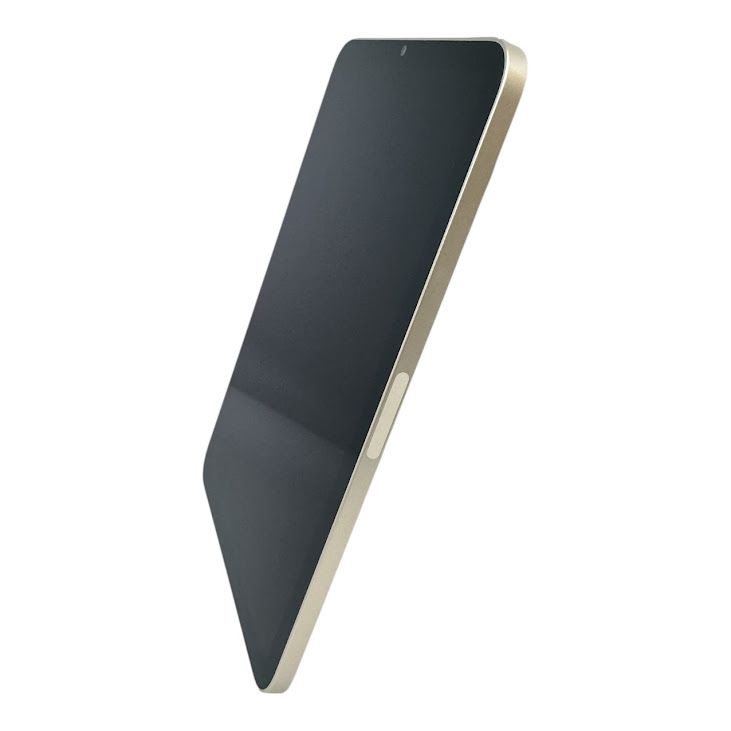 �ڥХåƥ꡼89%��iPadmini��6��Wi��Fi��256GB���������饤��