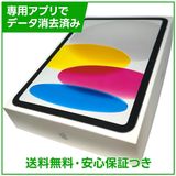 �ڥХåƥ꡼100%��iPad��11��Wi��Fi��128GB������С�
