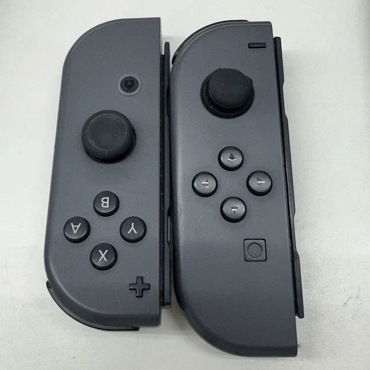 Nintendo Switch ���� Joy-Con(L)/(R) 2019ǯ��ǥ� 32GB ����