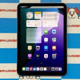 iPad mini 7 (A17 Pro) Wi-Fiǥ 128GB ֥롼 MXN73J