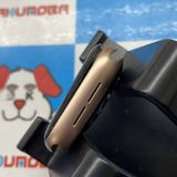 Apple Watch SE 1 40mm GPSǥ - MYDN2J/A 