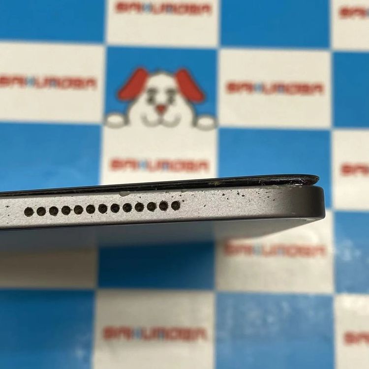 iPad Pro 11����� ��2���� Wi-Fi��ǥ� 256GB ���ڡ������쥤 MXDC2J/