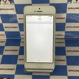 ¨��ȯ����iPhone5 16GB �ۥ磻�ȡ�����С� MD655LL/A SIM�ե꡼��������