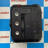 ¨ȯLUMIX DC-BGH1 ܥǥ ֥å 