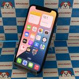¨ȯiPhone12 mini 64GB ֥å MGA03J/A AUSIMե꡼
