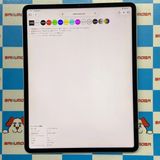 iPad Pro 12.9����� ��5���� Wi-Fi��ǥ� 128GB ����С� MHNG3J/A