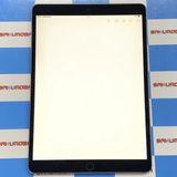 iPad Pro 10.5����� Wi-Fi+Cellular 256GB �����- MPHG2J/
