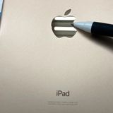 iPad mini ��5���� Wi-Fi��ǥ� 256GB ������� NUU62J/A��������