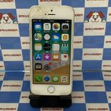 iPhone5s 64GB ����С� ME339J/A docomo��SIM�ե꡼�������