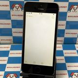 iPhoneSE 16GB ���ڡ������쥤 MLLN2J/A docomo��SIM�ե꡼ ��������