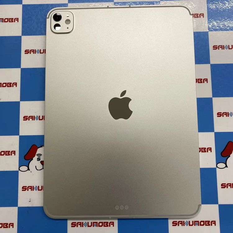 iPad Pro 11����� ��6���� M5 Wi-Fi + Cellular��ǥ� 256GB ��