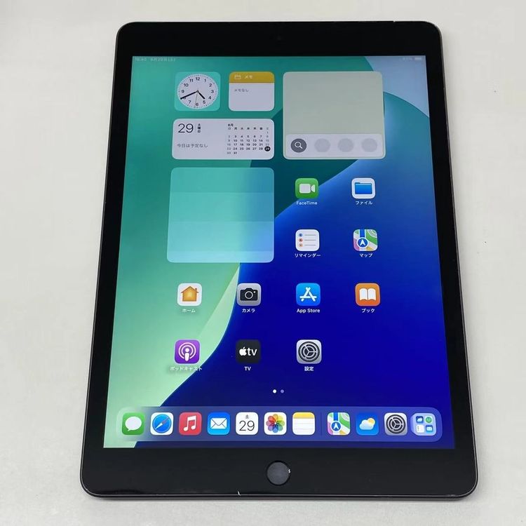 iPad ��9���� Wi-Fi+Cellular��ǥ� 64GB ���ڡ������쥤 MK473J/A