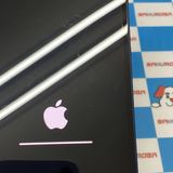 ¨��ȯ����iPhone12 ������ǥ� 256GB �֥롼 MGH43CH/A ������SIM�ե꡼