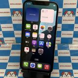 iPhone12 Pro 512GB ����ե����� MGMF3J/A SoftBank��SIM�ե꡼