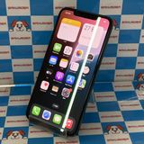 iPhone11 Pro Max 256GB ߥåɥʥȥ꡼ MWHM2J/A docomo
