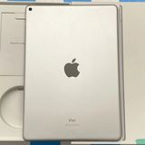 iPad Air 3 Wi-Fiǥ 256GB С MUUR2J/A 