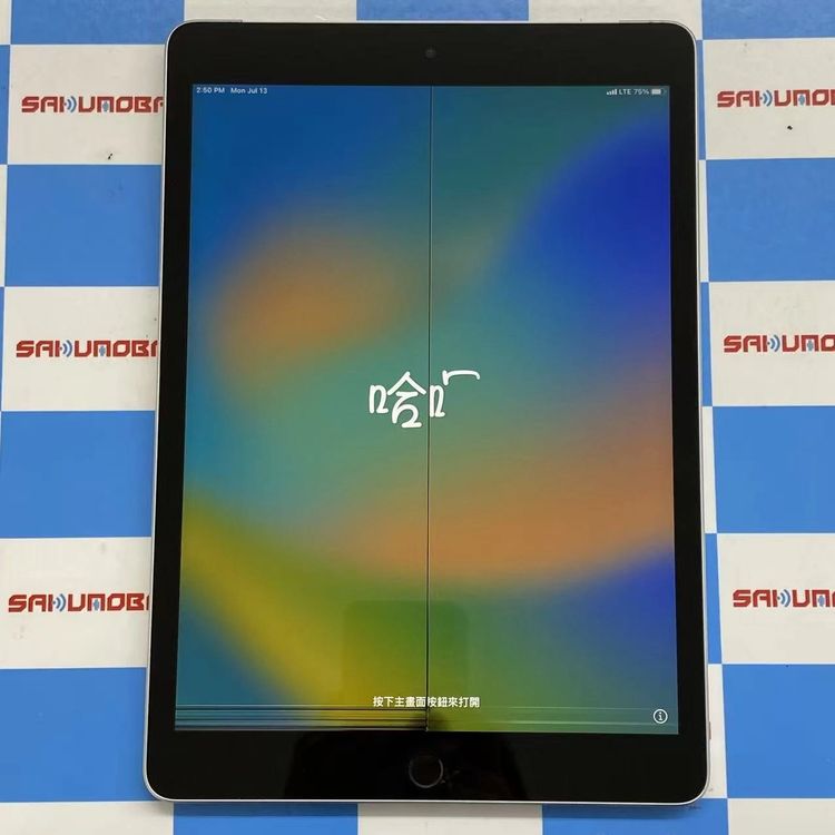 iPad ��9���� Wi-Fi+Cellular��ǥ� 64GB ����С� MK493J/A SIM