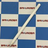 ¨��ȯ����Apple Pencil ��2���� �ۥ磻�� A2051�������