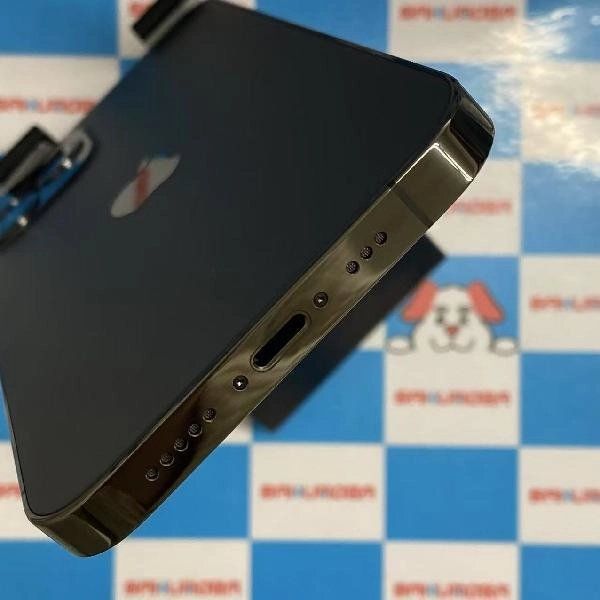 iPhone12 Pro docomoSIMե꡼ 128GB NGM53J/A A2406 