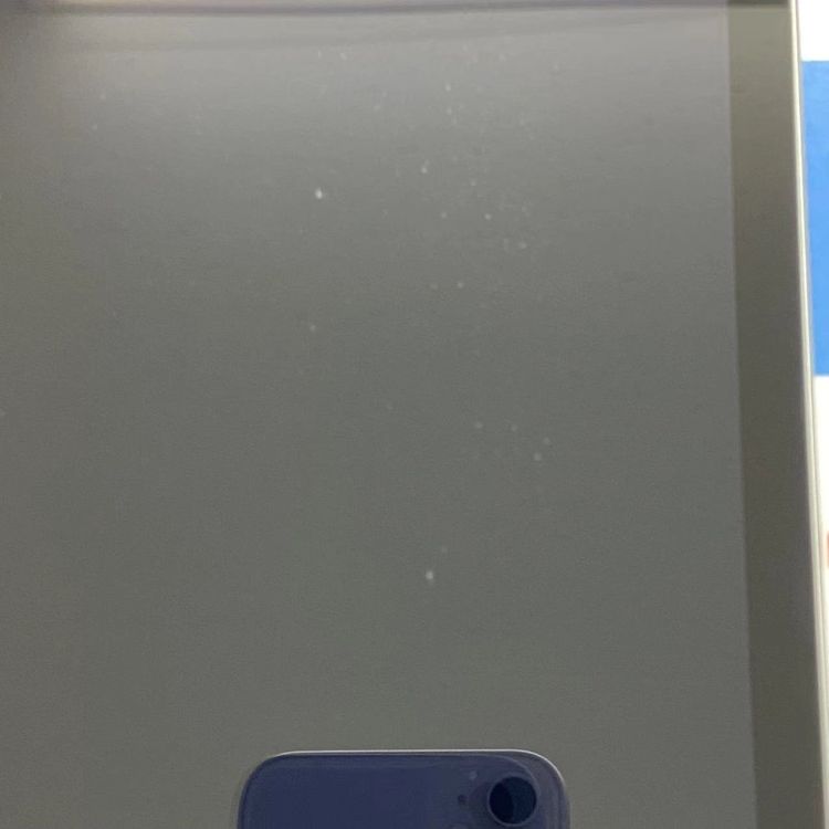 iPad ��9���� Wi-Fi+Cellular��ǥ� 64GB ����С� MK493J/A SIM