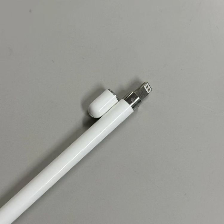 ¨��ȯ����Apple Pencil ��1���� ɸ�५�顼 A1603