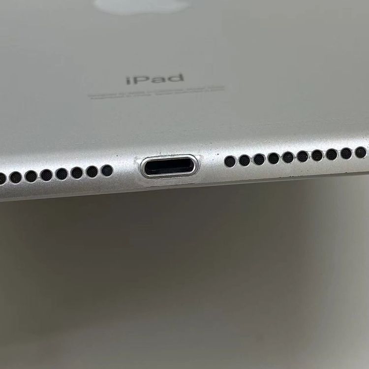 iPad mini ��5���� Wi-Fi+Cellular ��ǥ� 256GB ����С� MUXD2