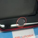 iPhoneSE 2 256GB Product Red MXVV2J/A SIMե꡼