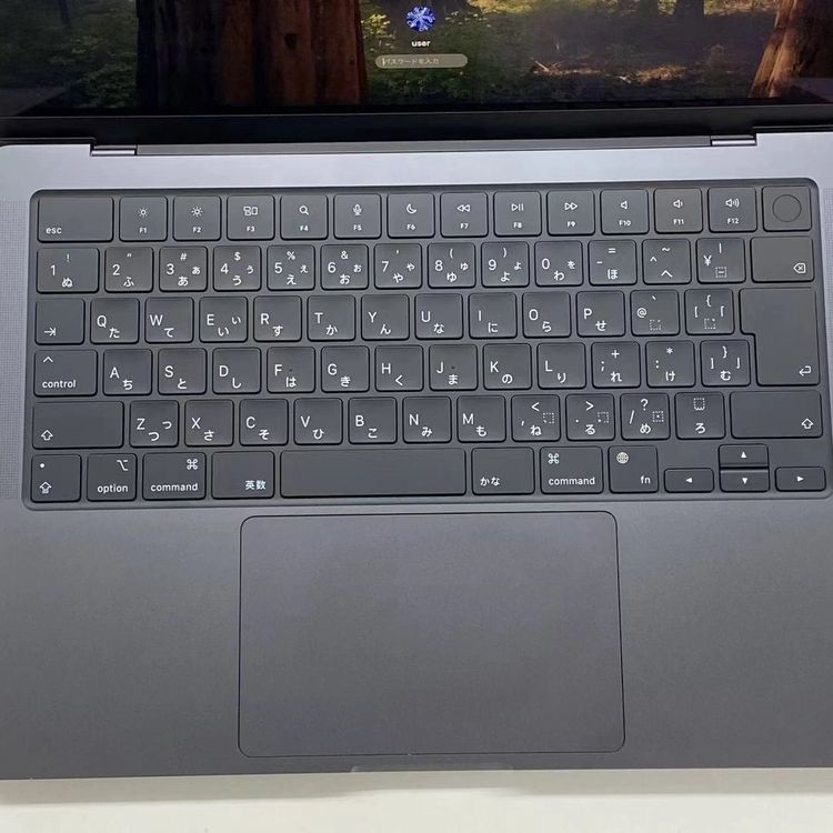 MacBook Pro 14�����  Late2024 Apple M4(10����) 10����GPU
