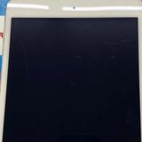 iPad mini ��4���� Wi-Fi+Cellular ��ǥ� 16GB ����С� MK702J