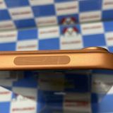 iPhone 17 Pro Max 1TB �����ߥå������ MFYG4J/A SIM�ե꡼