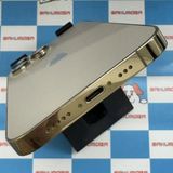iPhone13 Pro 256GB  MLUQ3J/A docomoSIMե꡼ 