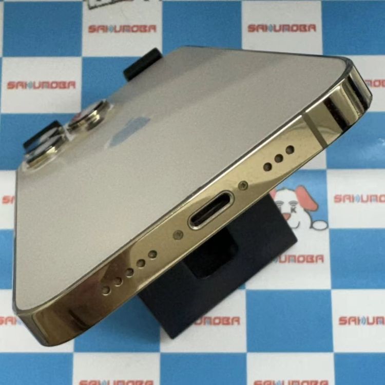 iPhone13 Pro 256GB  MLUQ3J/A docomoSIMե꡼ 