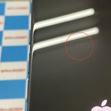 ¨��ȯ����iPhone 15 128GB �֥�å� MTP03ZD/A ������SIM�ե꡼